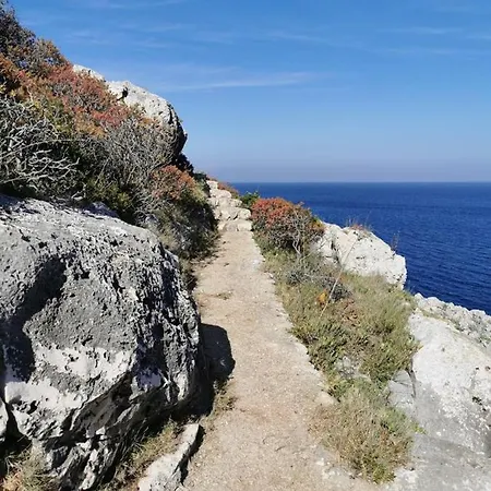 Mare Blu Al Ciolo