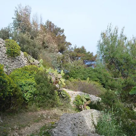 Villa Mare Blu Al Ciolo *