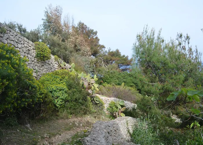 Villa Mare Blu Al Ciolo *