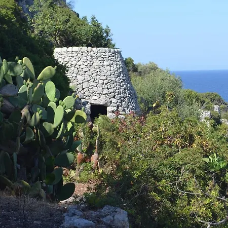 Mare Blu Al Ciolo Villa